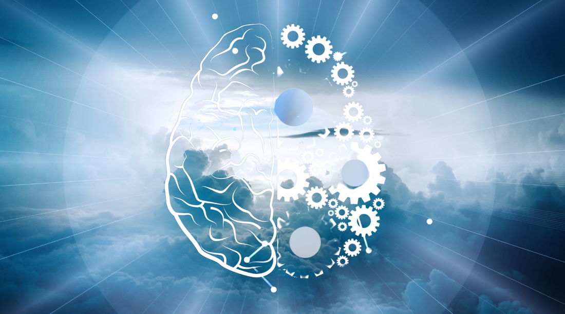 Manifestation Meets Neuroscience: The Brainy Way to Make Your Dreams Come True